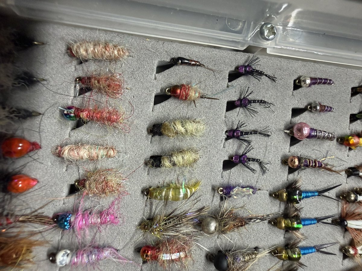 David Blackett tweet media