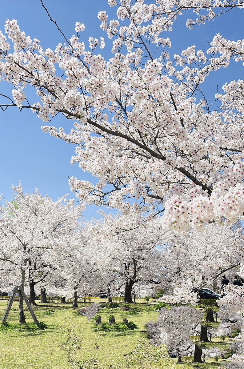 Laskeypictures tweet media