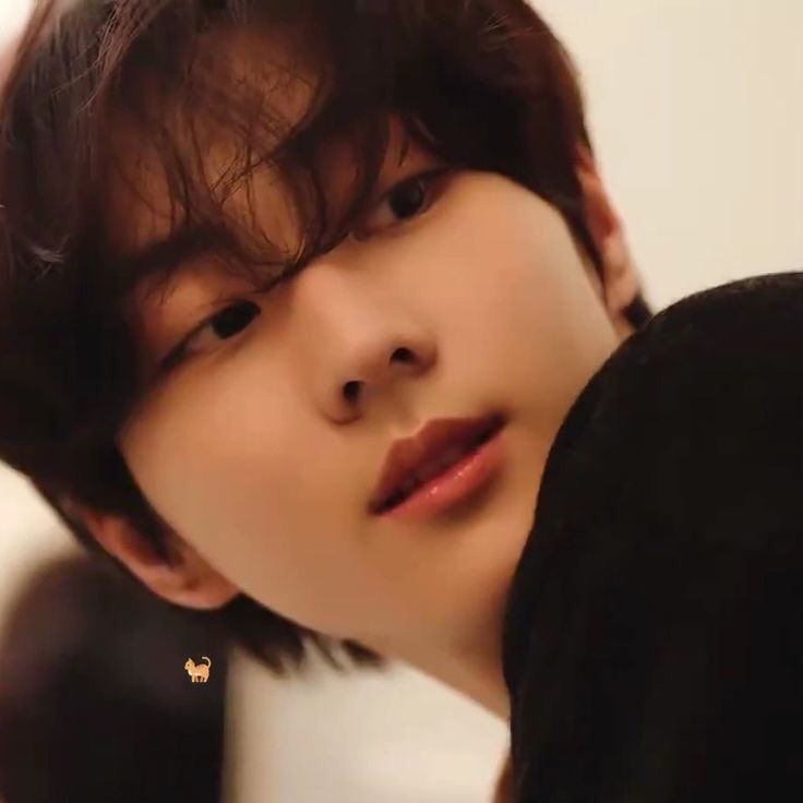 el🐧ྀིྀི || ENHYPEN IS 7 tweet media