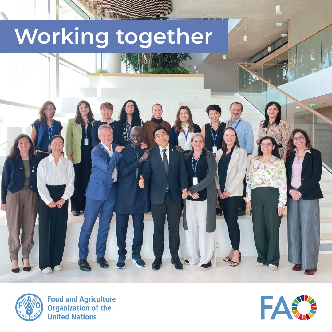 FAOLivestock's tweet image. As the Quadripartite meeting concludes in Lyon, @FAO @UNEP @WHO @WOAH reaffirm their shared commitment to advancing #OneHealth worldwide.

Stronger coordination and sustained investment are key to preventing future crises and protecting people, animals and ecosystems.