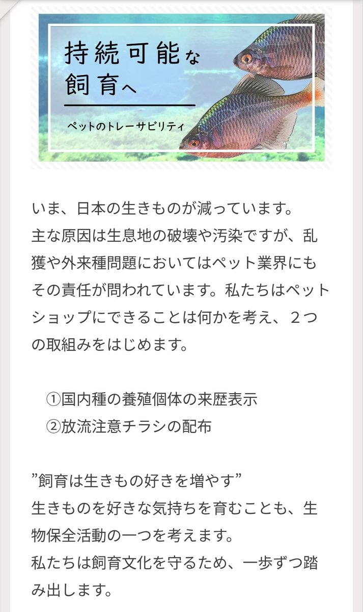 マーシーの獲ったり狩ったり tweet media