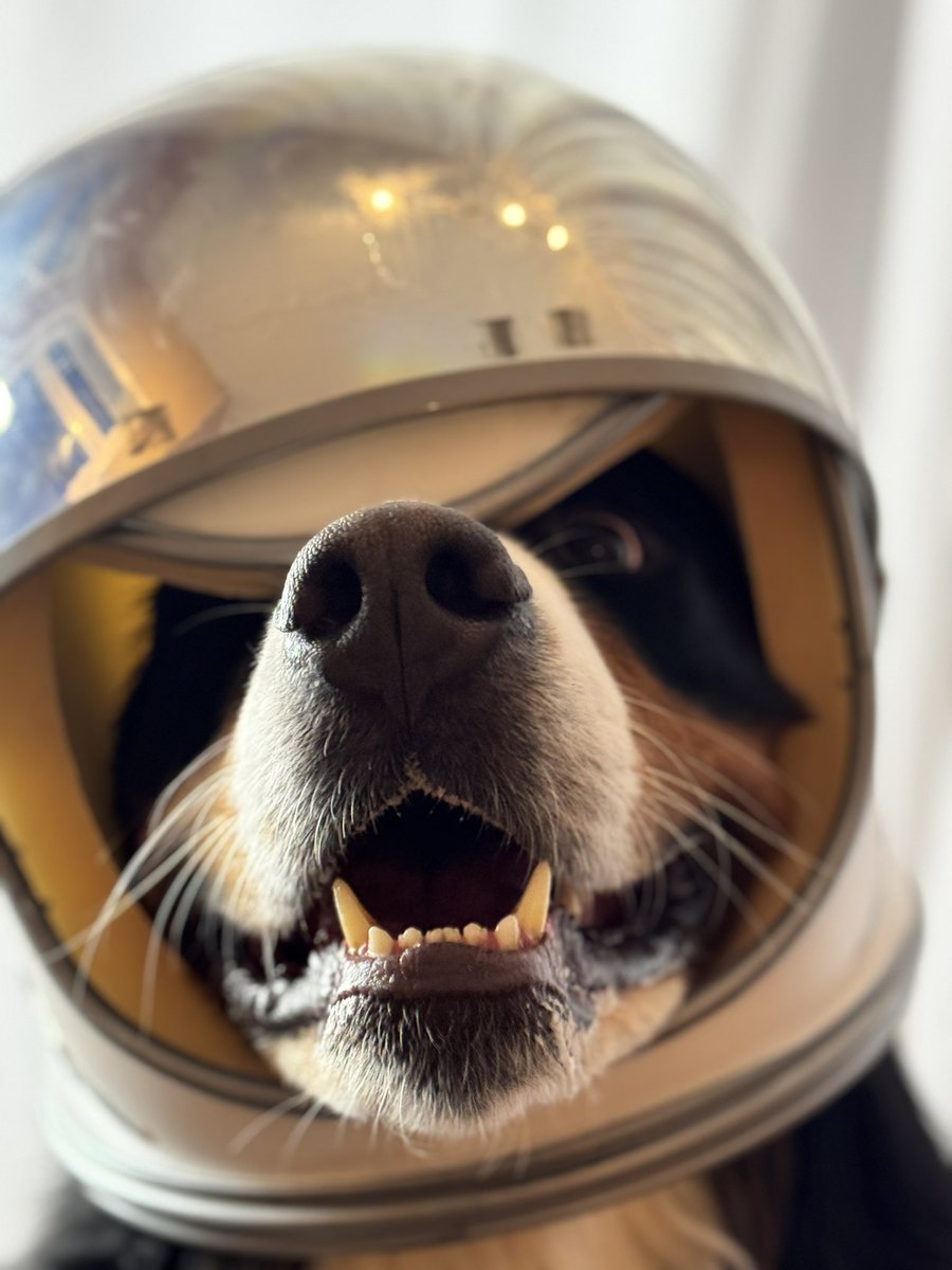 bunsenbernerbmd's tweet photo. @NASA LOCK IN https://t.co/9xL4l8DWSn