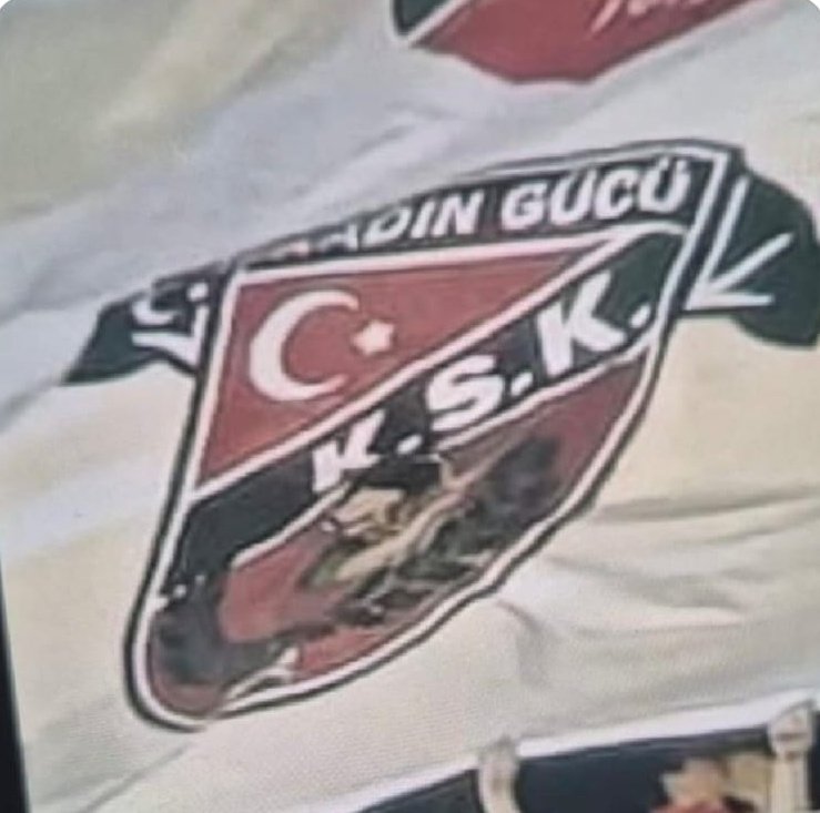 Simge Yılmaz Bağcı tweet media