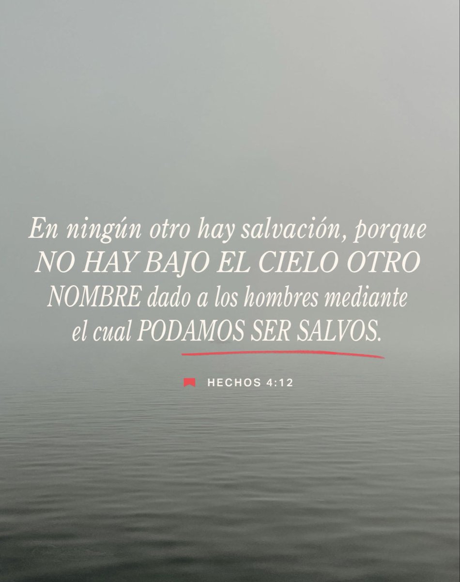 Gerardo Soto tweet media