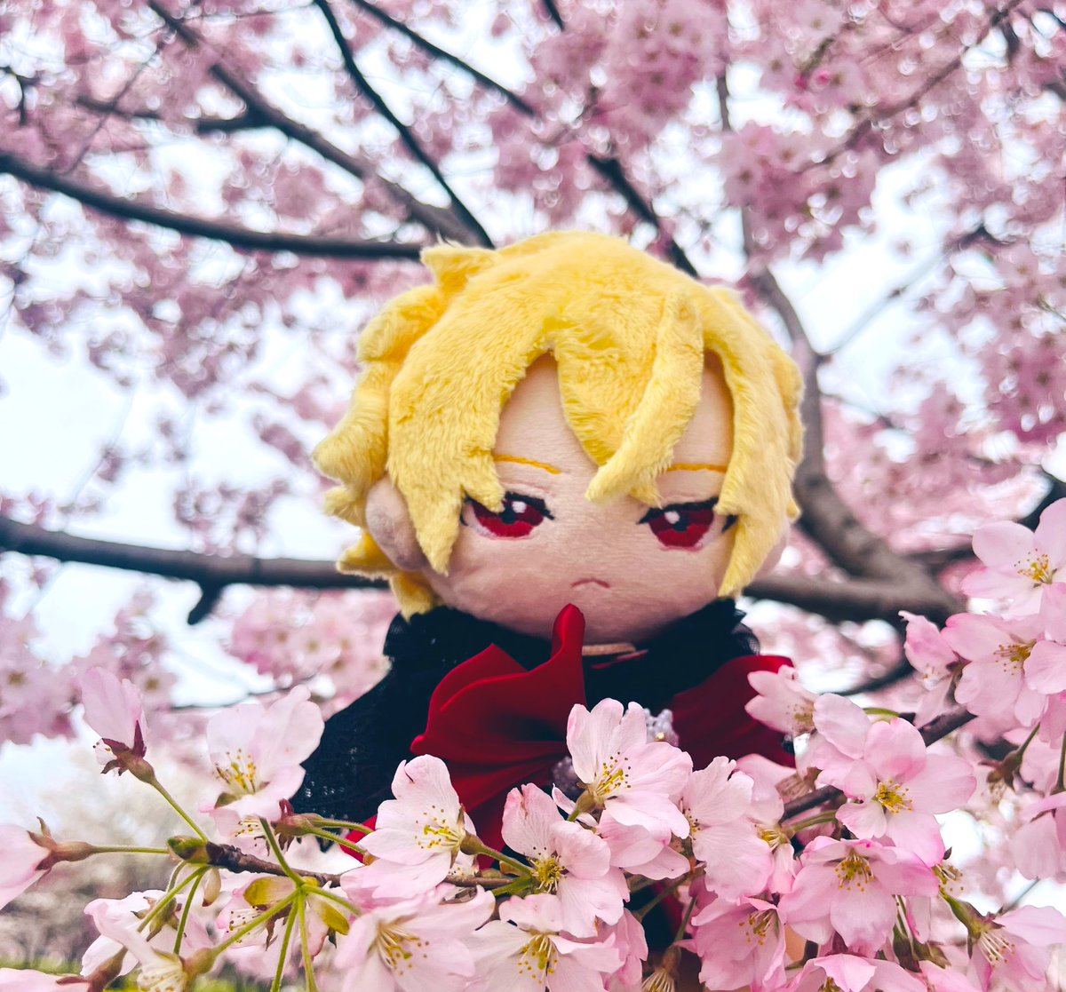 #友麻碧先生誕生祭2026

友麻先生お誕生日おめでとうございます
益々のご活躍を祈念しています