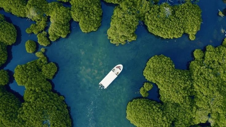 إبراهيم جبران tweet media