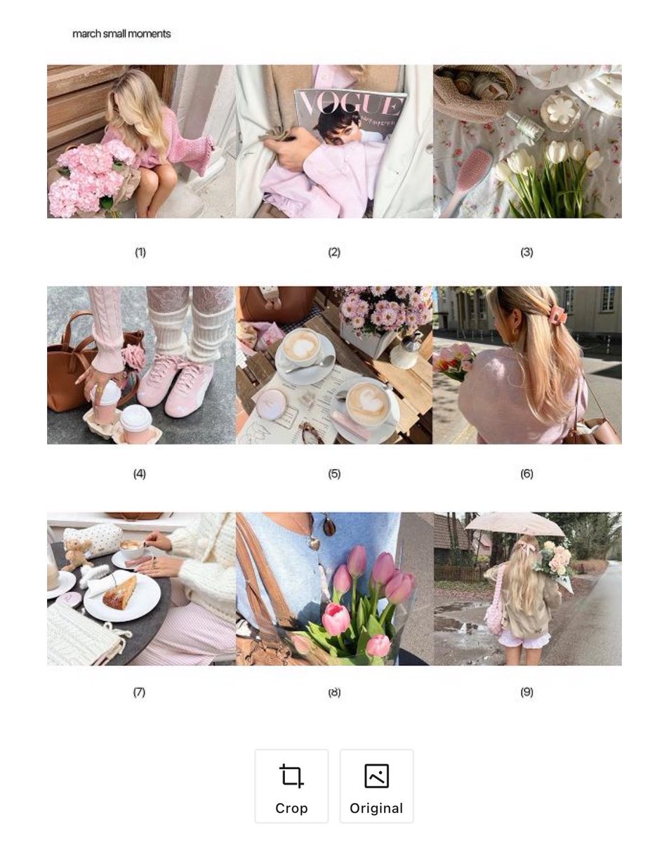 tamjaichunbkk tweet media