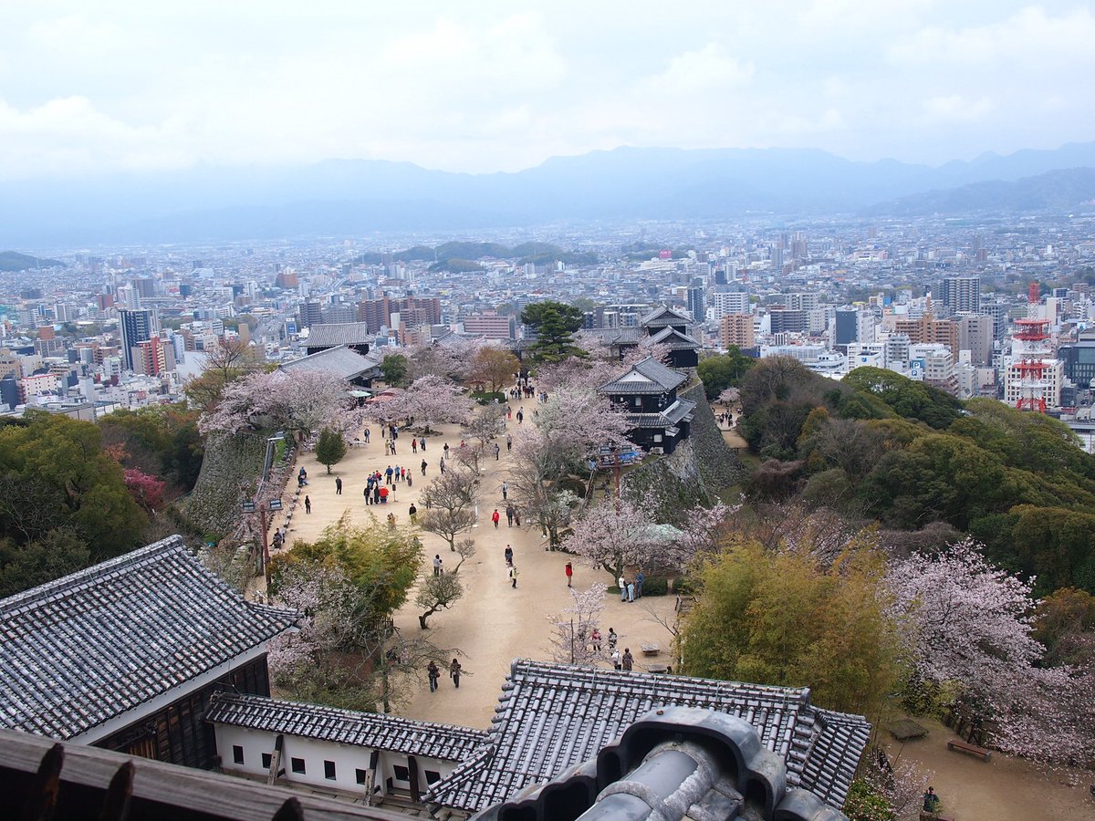 松山城は🌸がキレイだったなぁ
これだけ遺構が残ってるのは素晴らしいわ
姫路城に次ぐくらいなんじゃ？
これで現存10/12天守制覇✌️
いつでも国宝追加こいや！😆