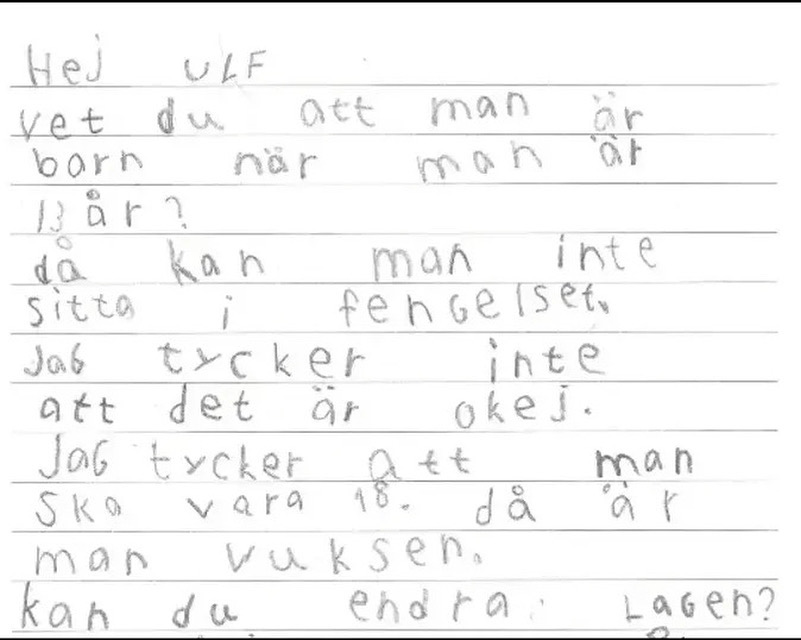 nissemalaren tweet media