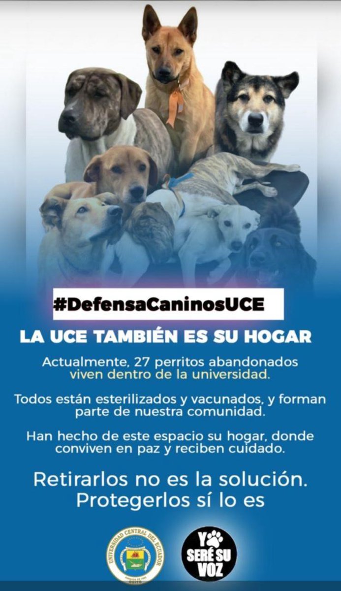 ATENCIÓN 📢📢
Quieren sacar a los perritos comunitarios de la <a href="/lacentrale_be/">La Centrale - collectif</a> no es posible que el rector lo permita <a href="/EspinosaRector/">Dr.Patricio Espinosa</a>
Ayuda <a href="/LoroHomero/">Jorge Yunda Machado</a> <a href="/campanaUIO/">Andrés Campaña</a>
RT por favor