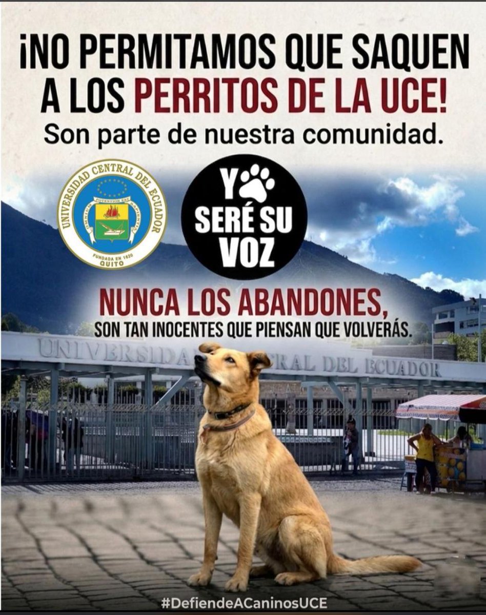 Marcela Caicedo tweet media