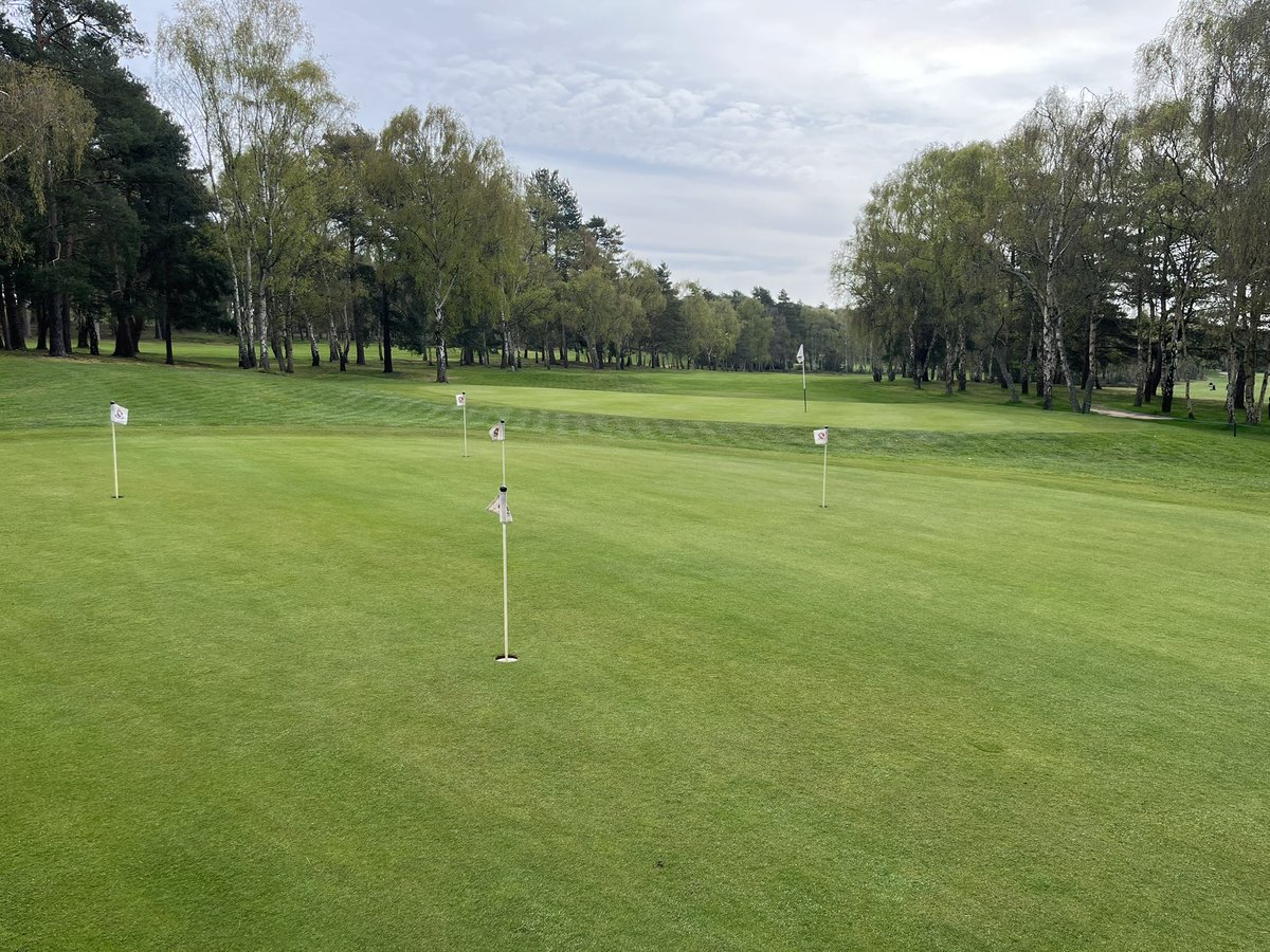 CTC_Sally's tweet photo. A fabulous course walk around @klgolfclub with the team and @AndrewHarding7 today #spring #bitofrainplease #teamwork #lookingawesome https://t.co/aqgmBlHF5T