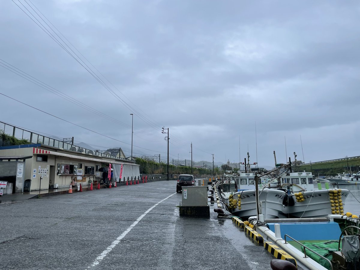 forestbk tweet media