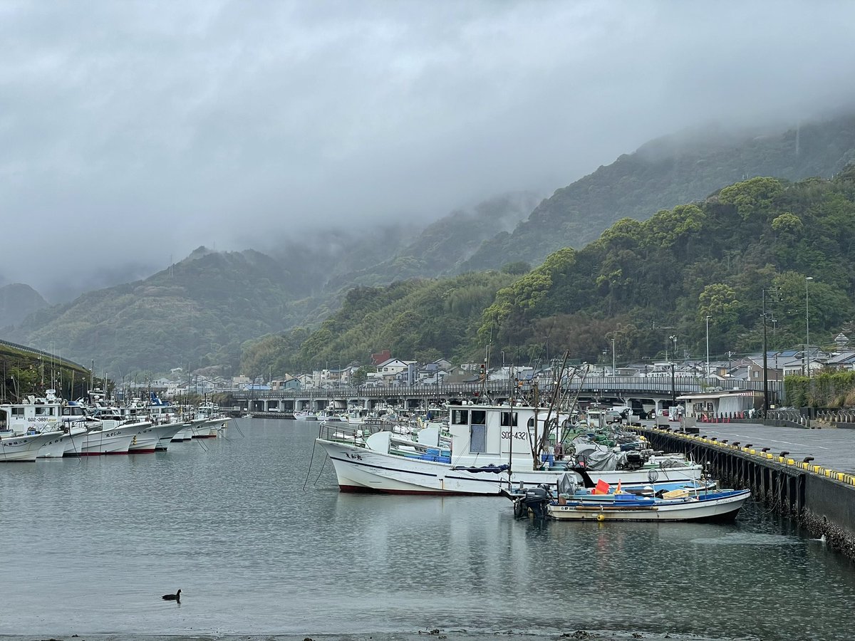 forestbk tweet media