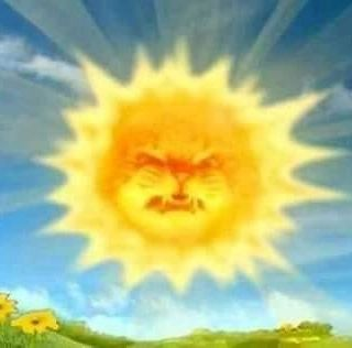 Punch Cat tweet media