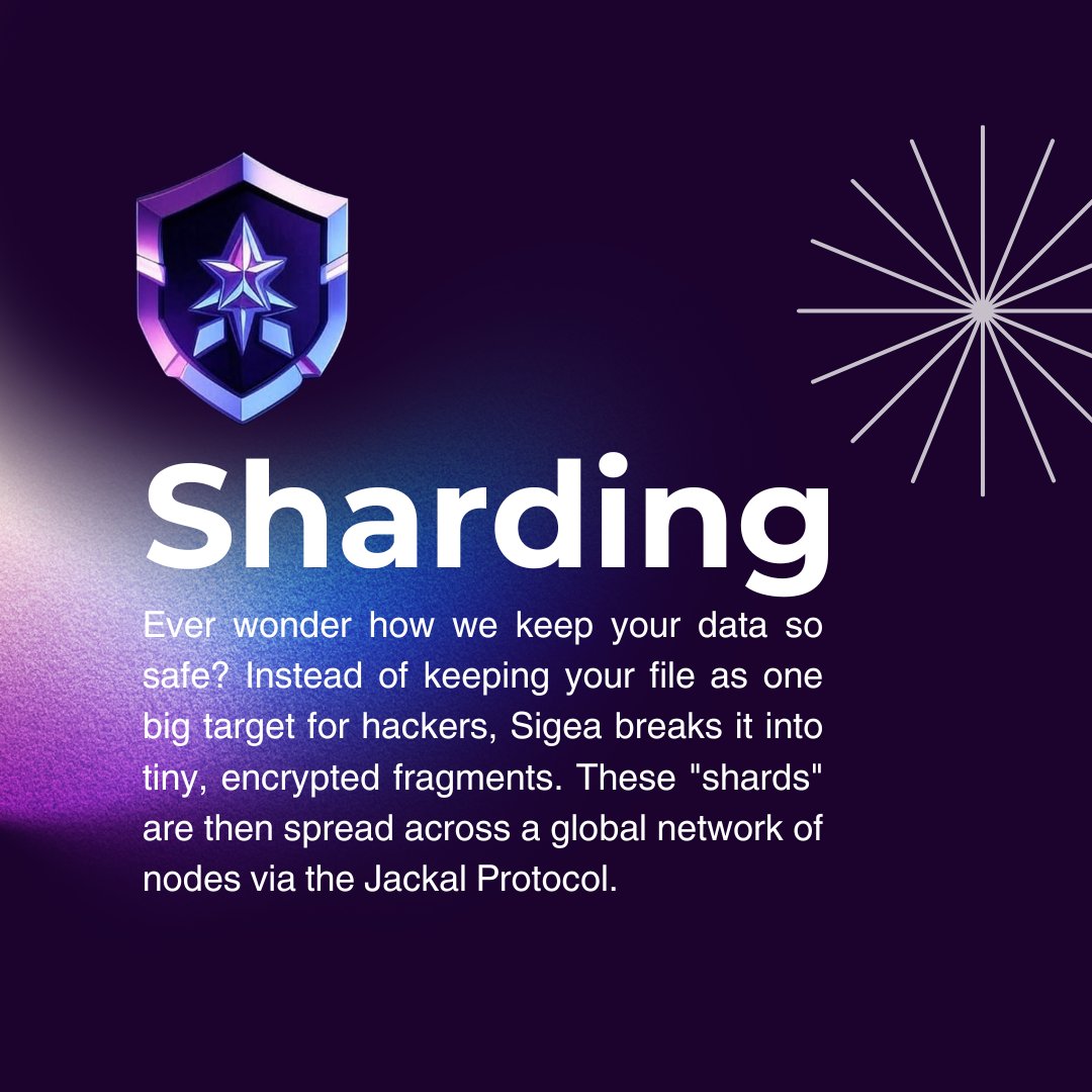 Sigea Official tweet media