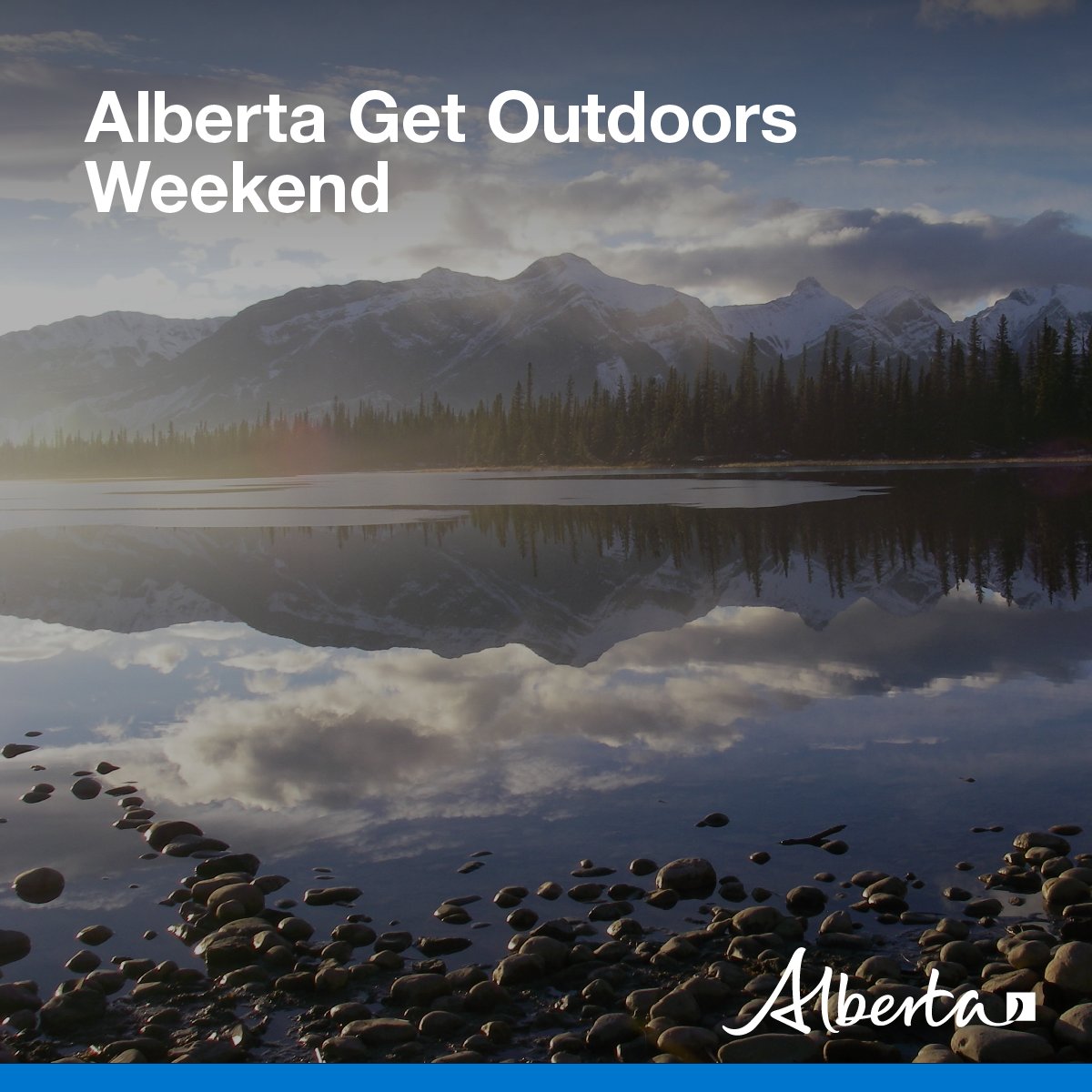 Alberta Fish and Wildlife Enforcement tweet media