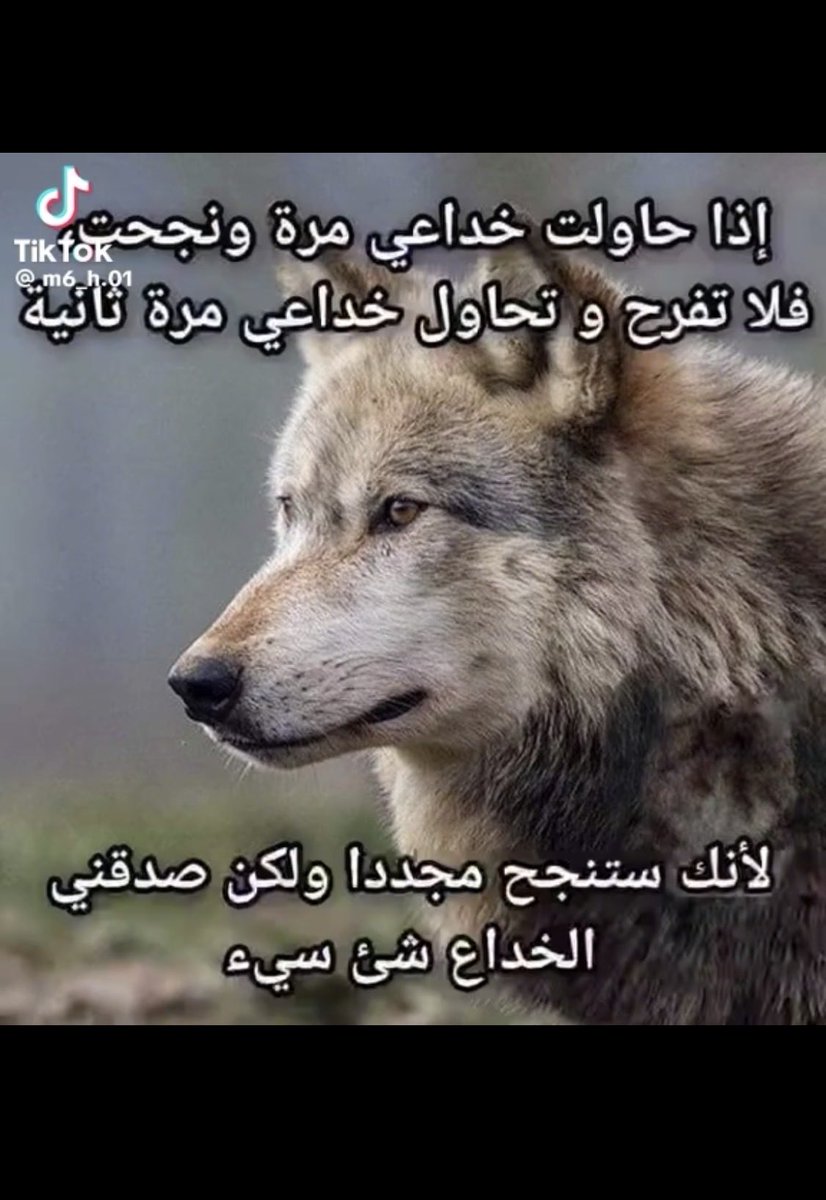 طبيب الهوى 🎼 tweet media