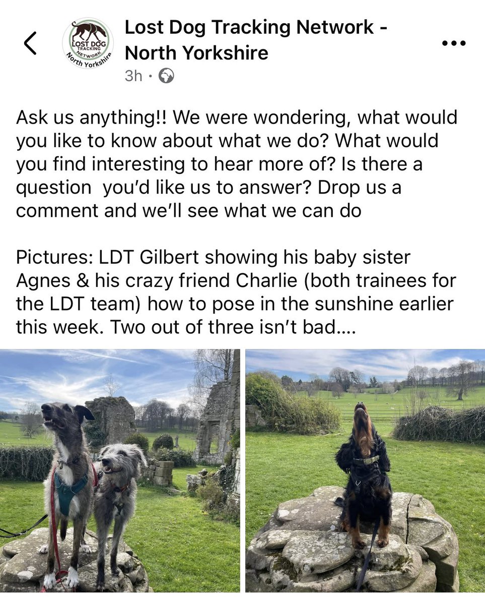 LDTNorthYorkshire tweet media