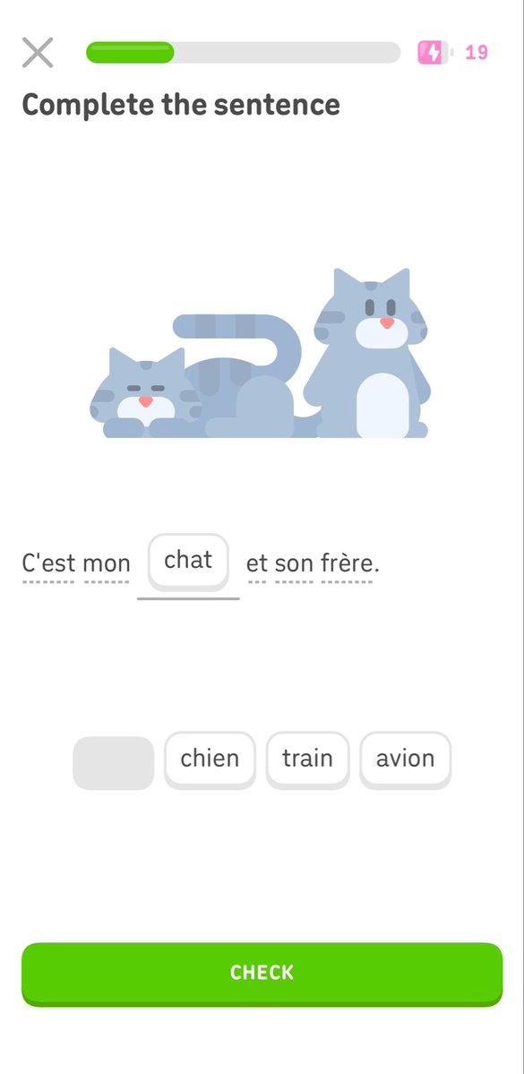 고냐니 tweet media