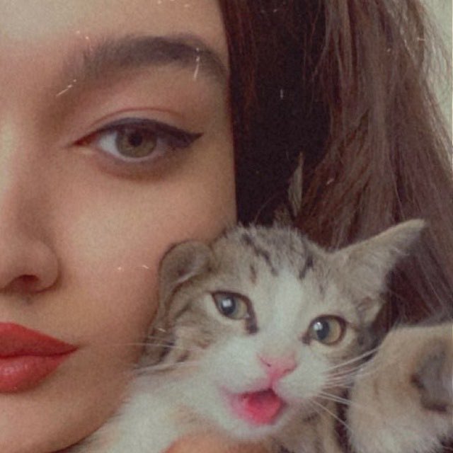 Luna 🌙🐈 tweet media