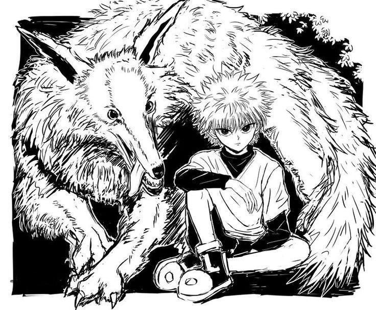 Hunter x Hunter 🃏 tweet media