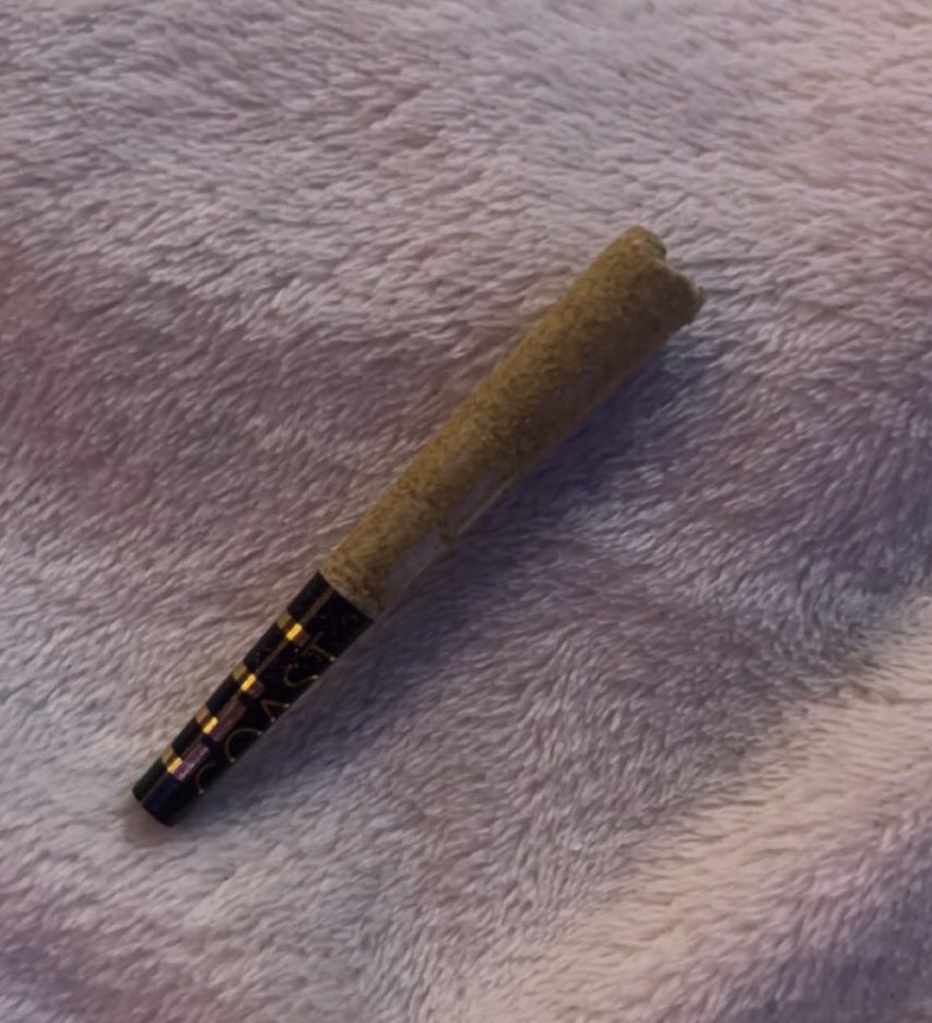 mimi ᯇ day 10 binge free ᢉ𐭩 tweet media