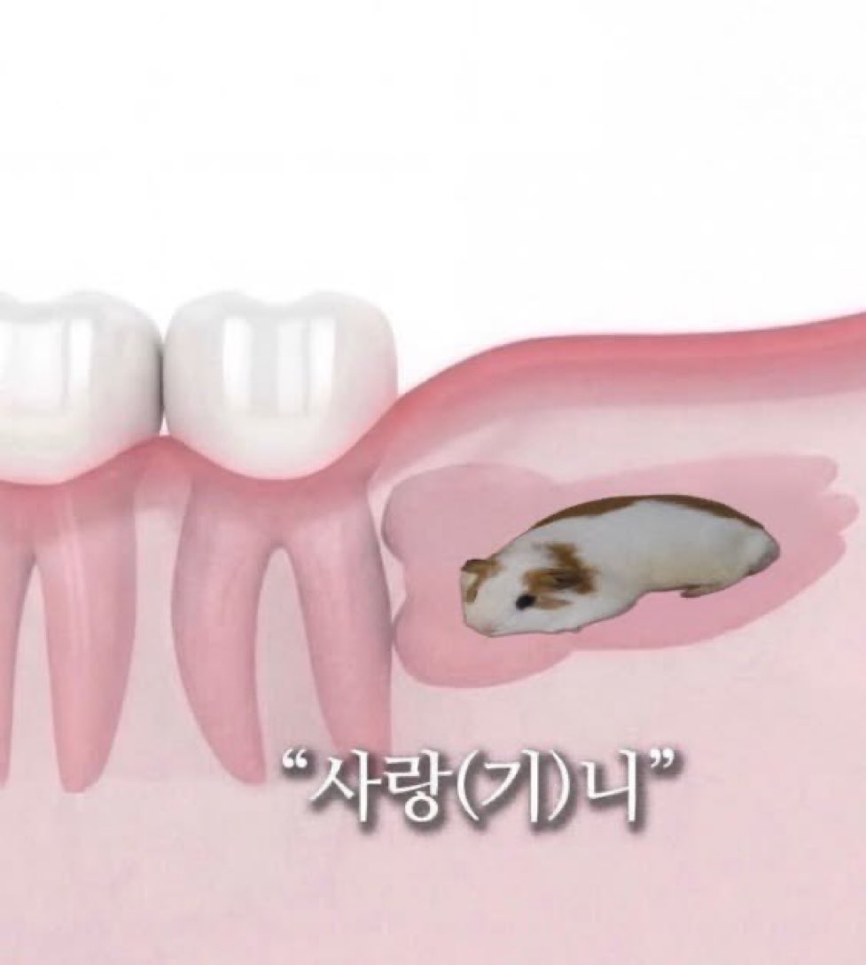 원희가 나한테 이렇게찾아옴..