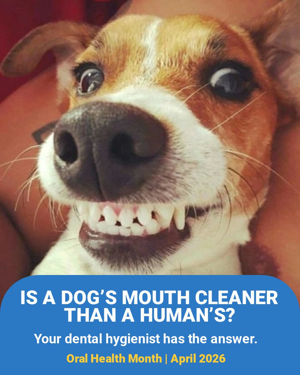 HSAAlberta's tweet photo. Is a dog’s mouth cleaner than a human’s?

This Oral Health Month, get the real answer from your dental hygienist. It’s also a good reminder to keep up with preventive care, regular dental visits, and the habits that support your overall health.

Happy Oral Health Month! https://t.co/MaGtpNxGqN