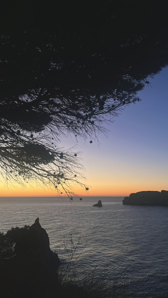 itzi ☀️ tweet media