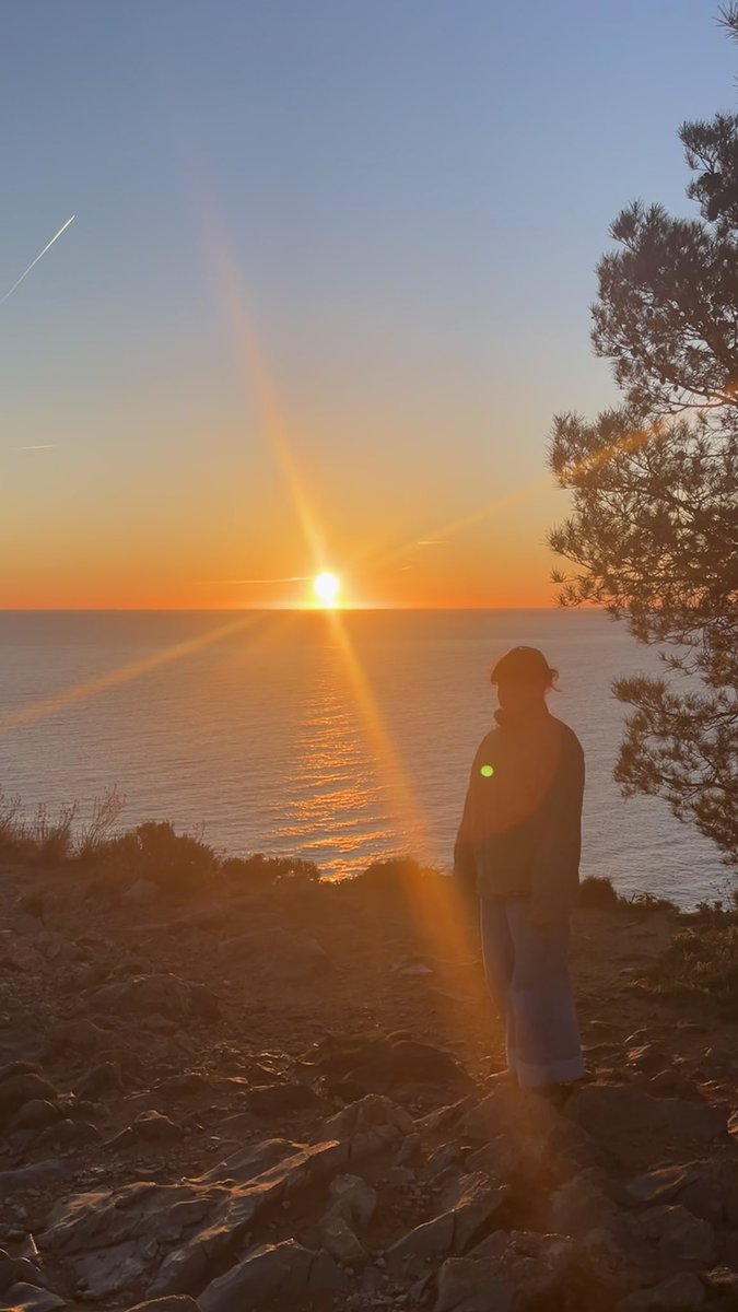 itzi ☀️ tweet media