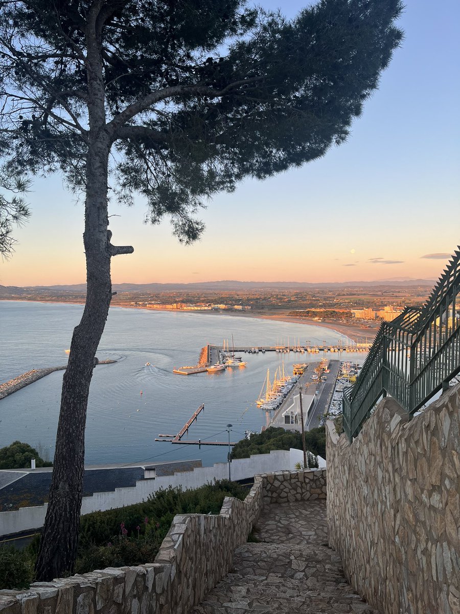 itzi ☀️ tweet media