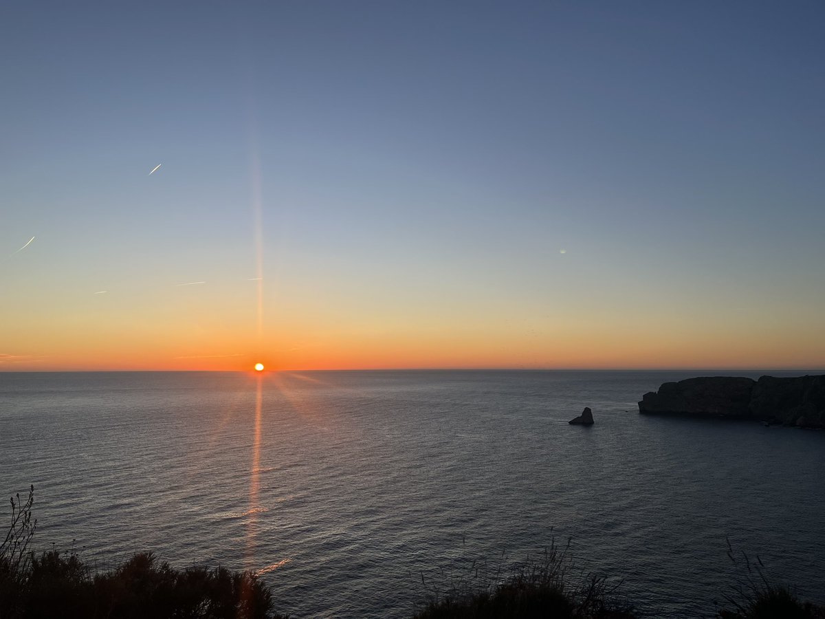 itzi ☀️ tweet media