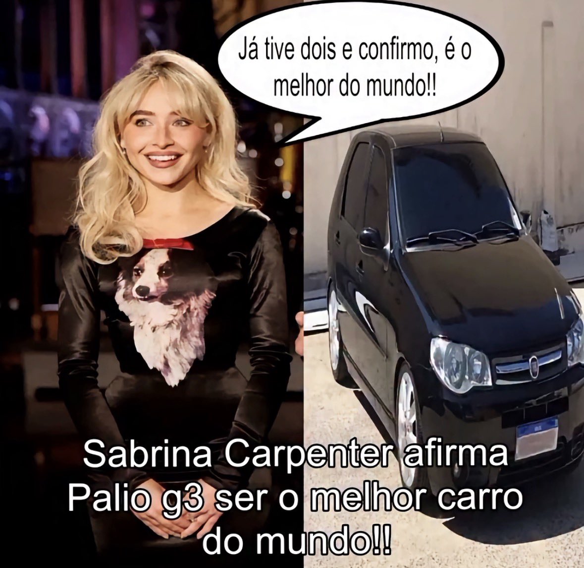 humor que o Maicon faria se nao fosse a militancia tweet media