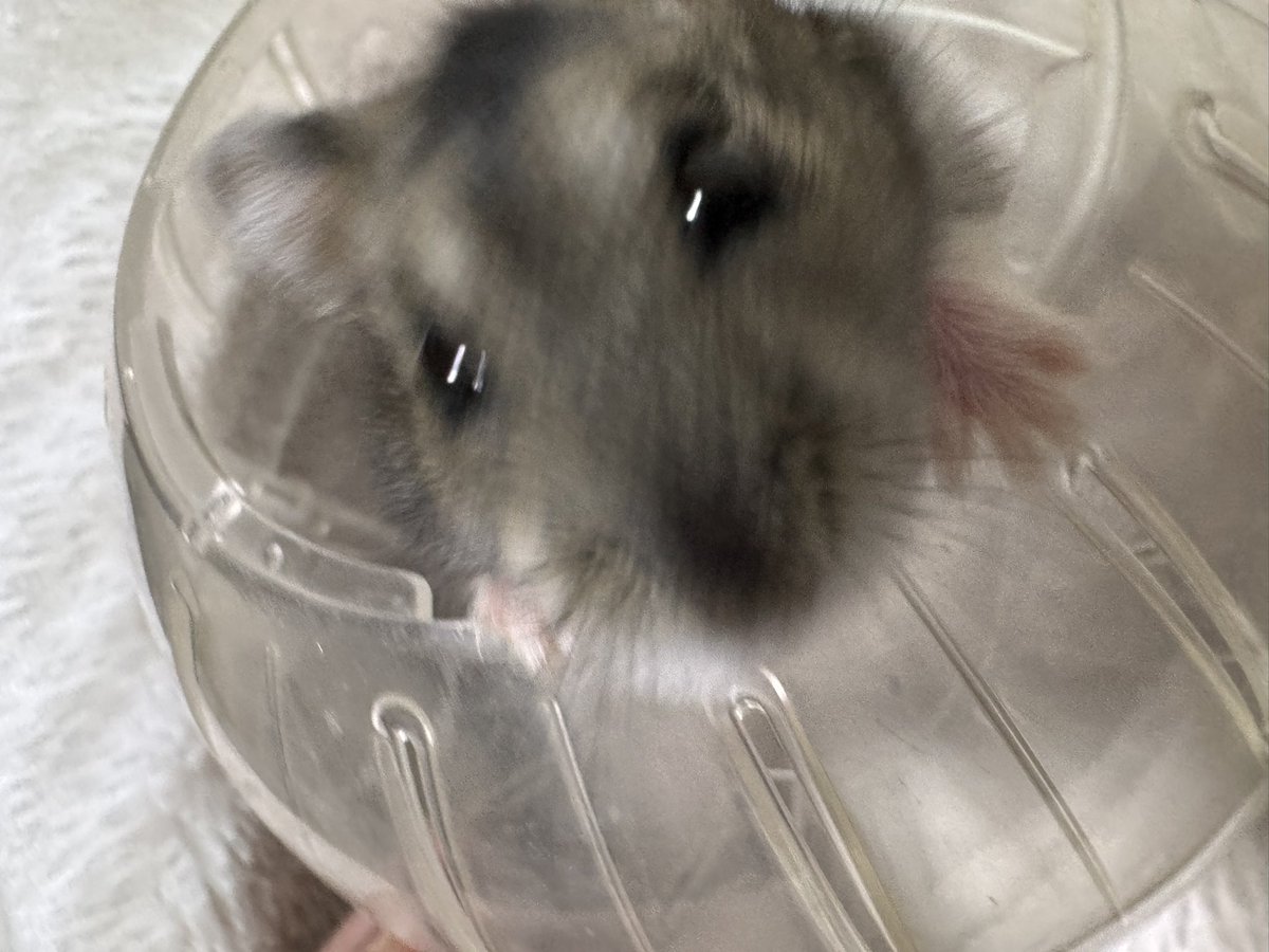 Eriko⭐︎ tweet media