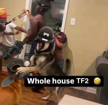 this is what I do instead of studying