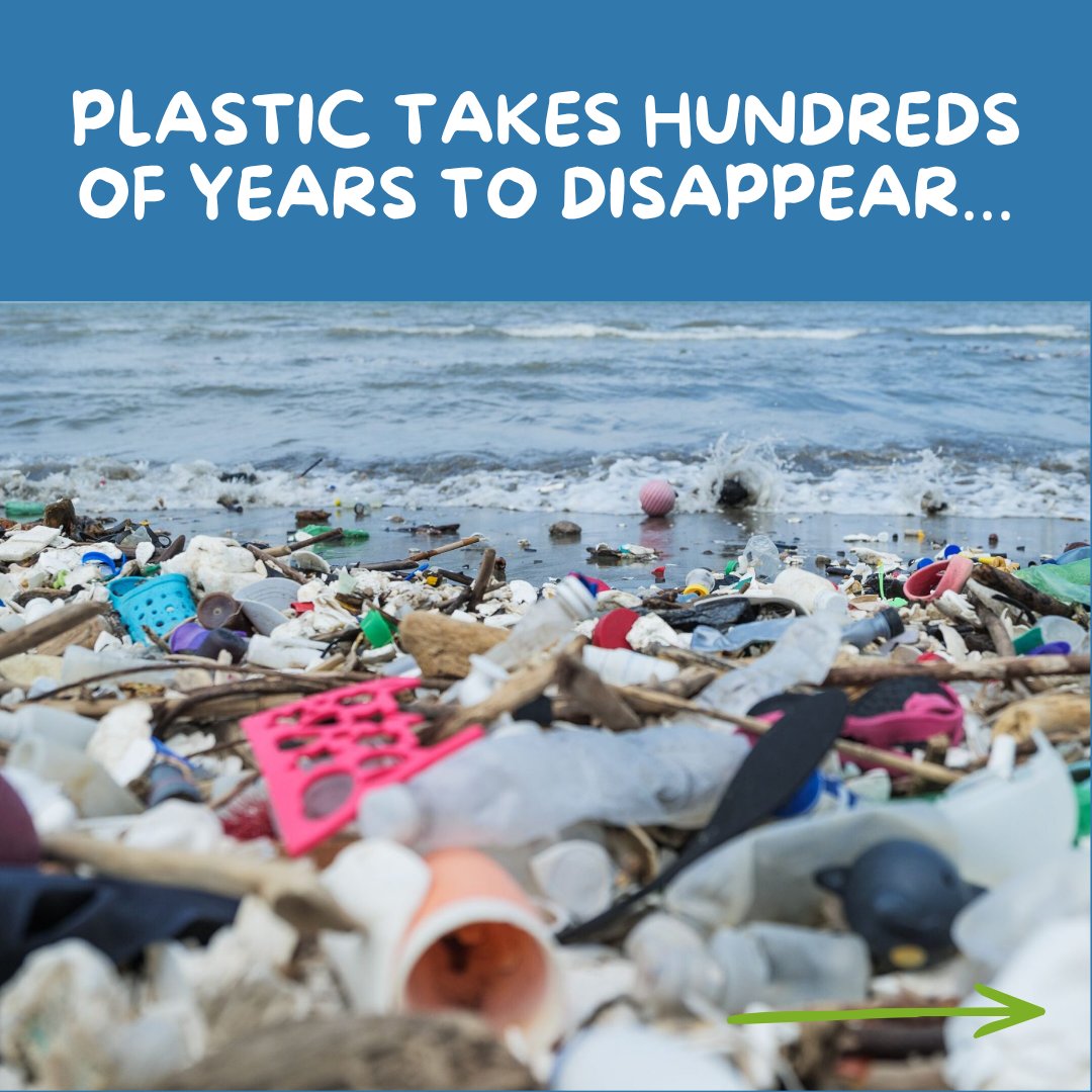JakesSnakebites's tweet photo. Simple swaps like a metal bottle, tote bag, or bamboo cutlery make a huge difference for the planet!

Ssssstart small. Make it count! Jake x  ♻️ 

https://t.co/OWn2l9B5EG

#ecowarrior #sustainableliving #plasticfree #ecotips #savetheplanet #climatechange https://t.co/wOl6wnOfFo