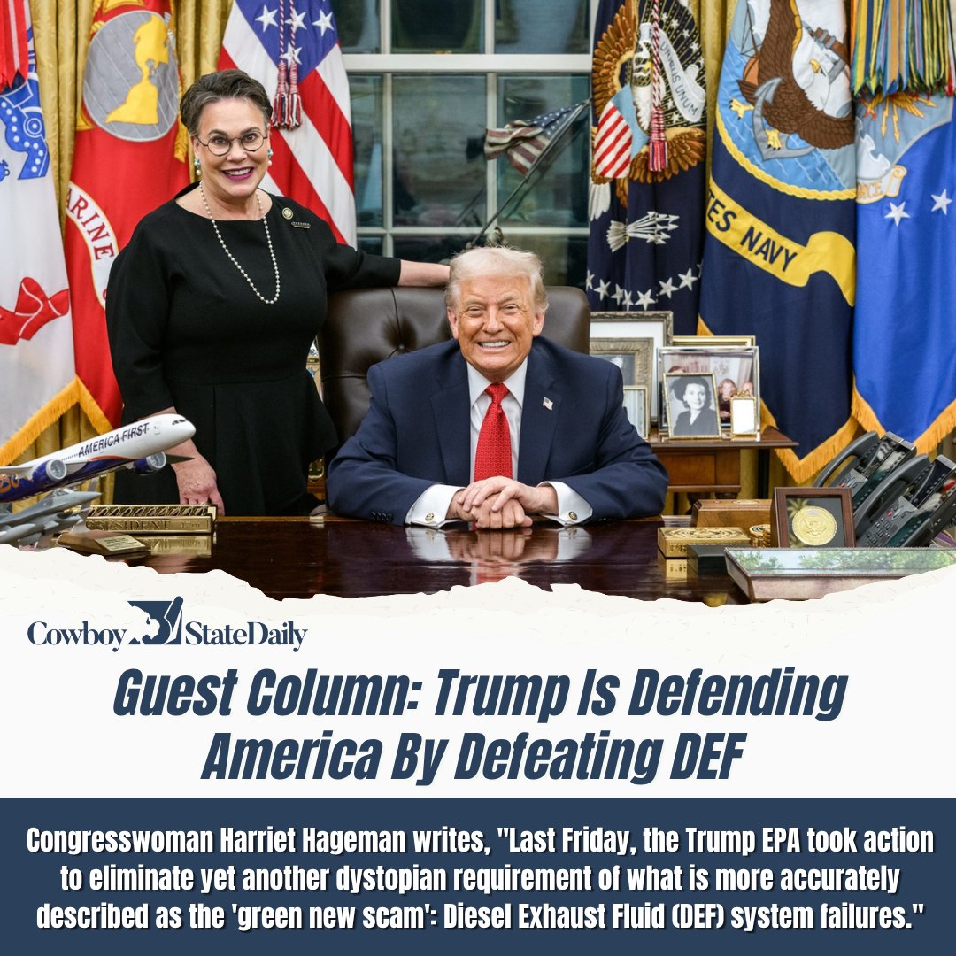 Rep. Harriet Hageman tweet media