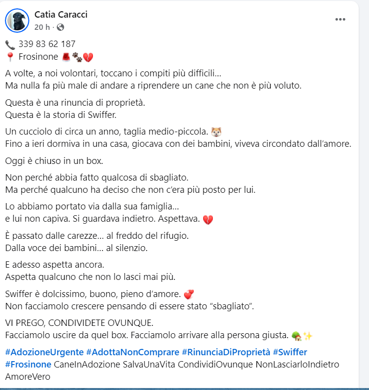 Qua la Zampa tweet media