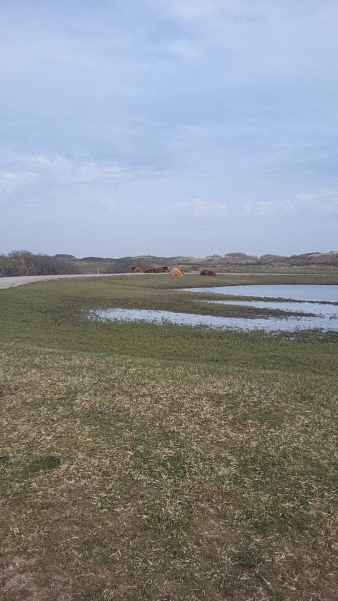 Floor Janssen tweet media