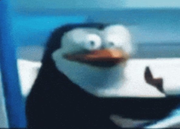 anayizii sikerem tweet media