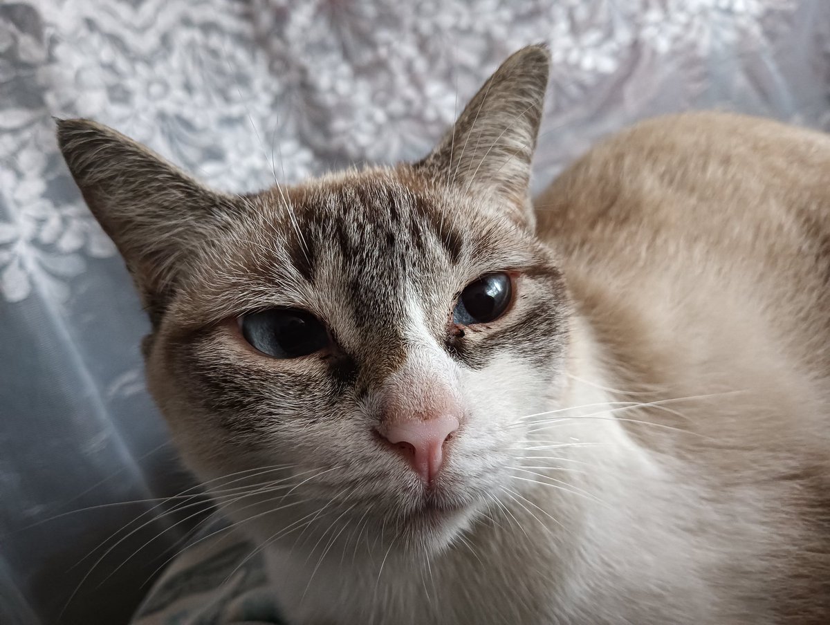 ꩇׁׅ֪݊ ɑׁׅᧁׁυׁׅׅ꯱ᨮׁׅ֮tׁׅᨵׁׅׅ݊ꪀᨮׁׅ֮⋆˚𝜗𝜚˚⋆𓊆ྀི❤︎𓊇ྀ tweet media