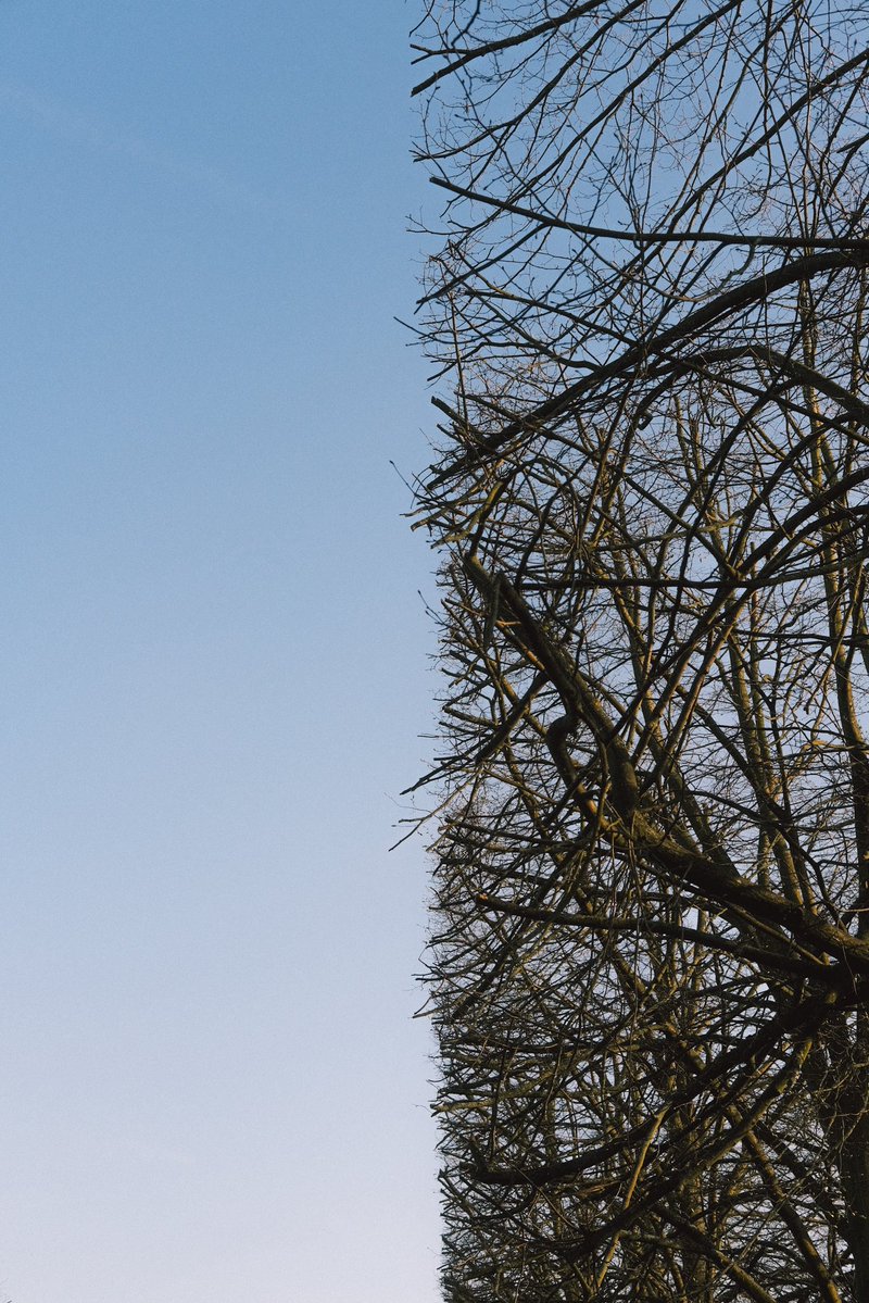 Wesley your friend Wesley tweet media