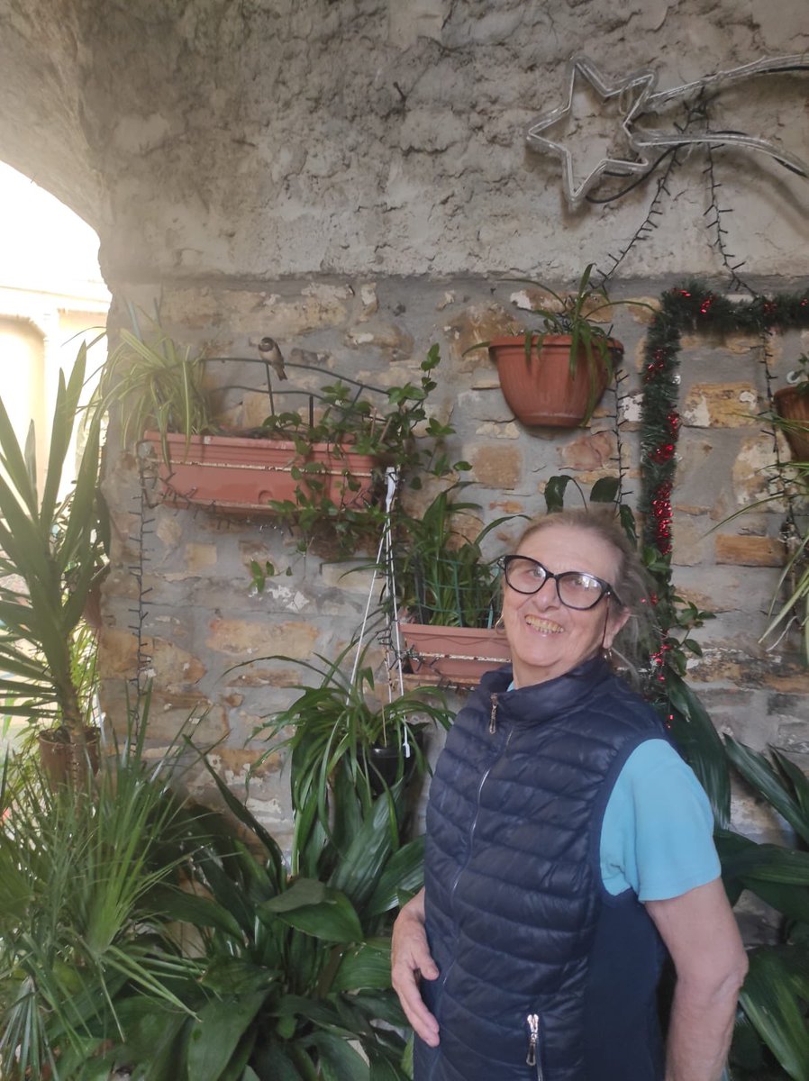 Principato di Seborga tweet media