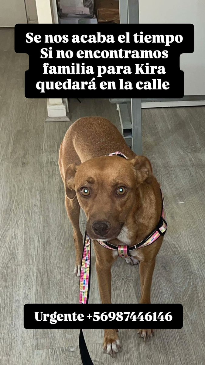 Ⓕⓤⓝⓓⓐⓒⓘⓞⓝ ⒾⓀⒾⒼⒶⒾ tweet media