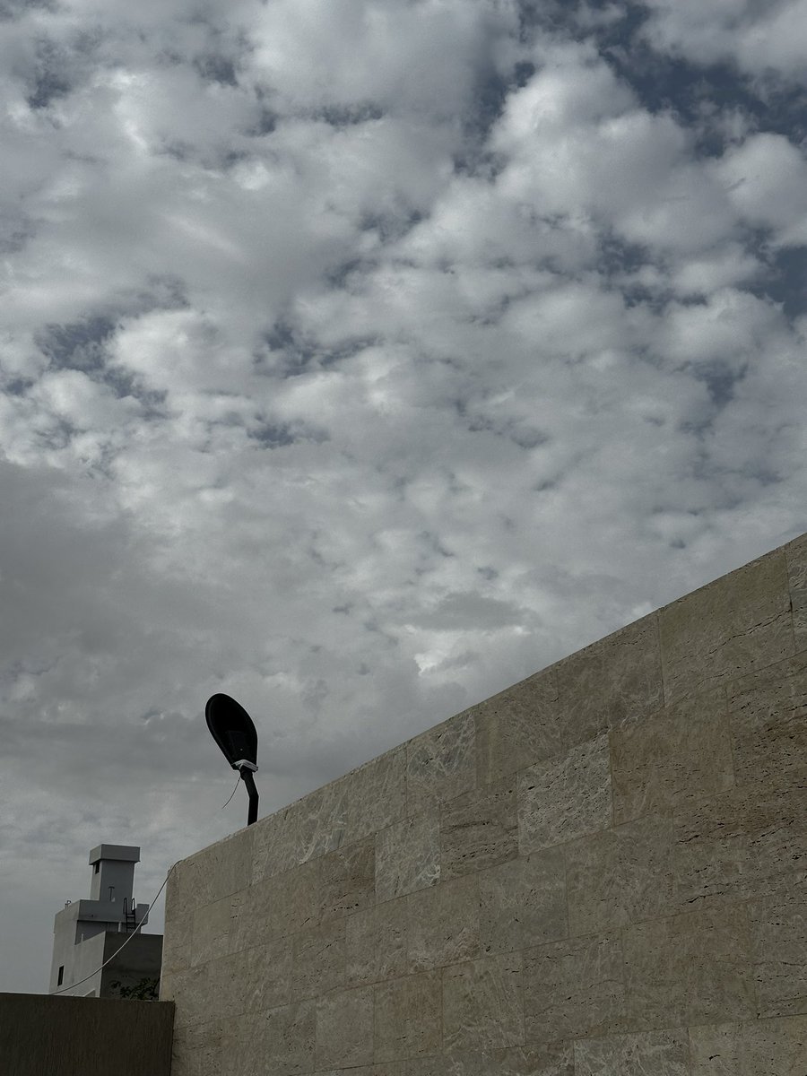 عناد tweet media