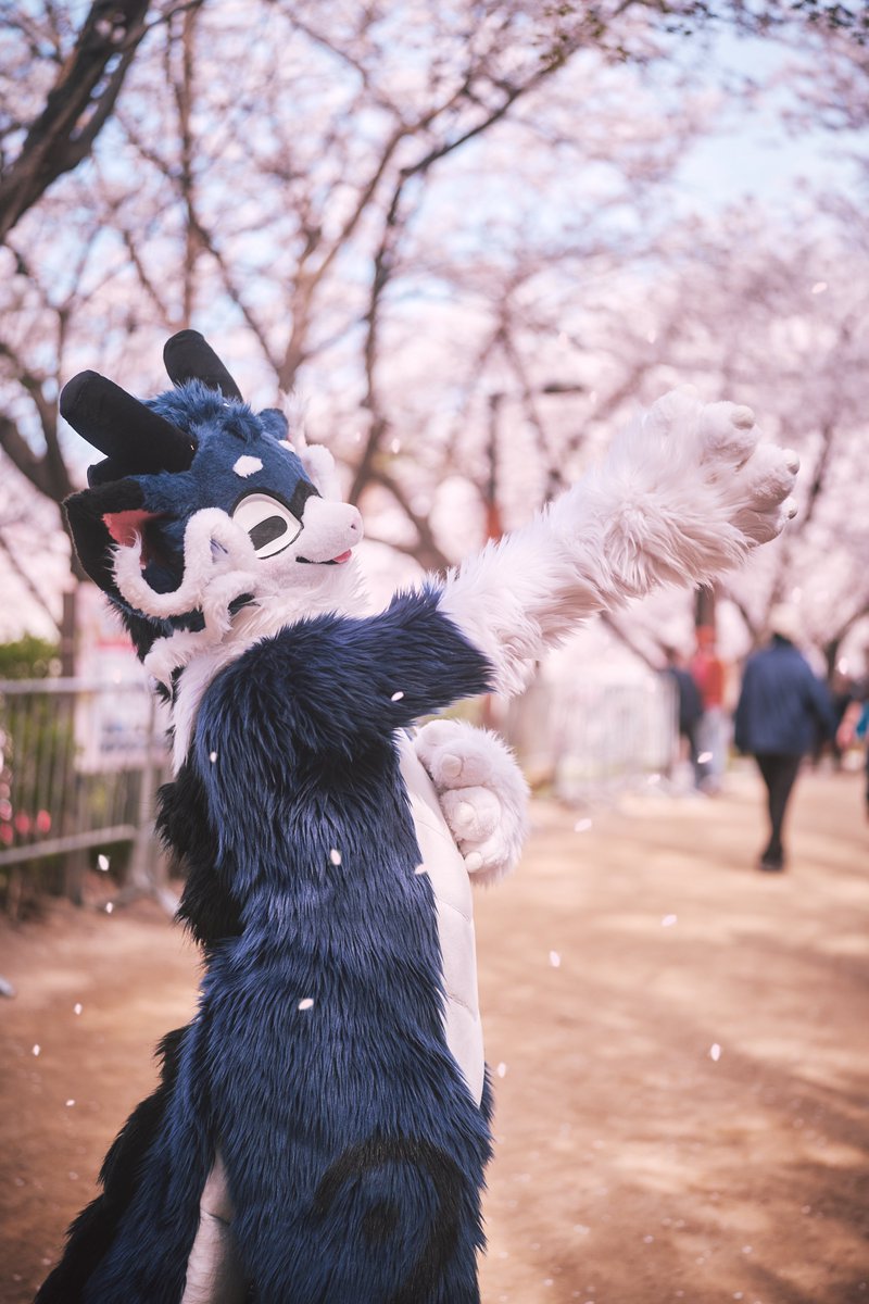 신뇽이/ShinNyong & 해일/Haeil tweet media