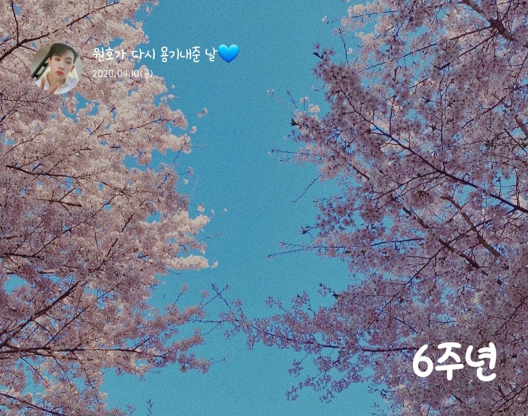 원호의💙말랑쿵야 tweet media