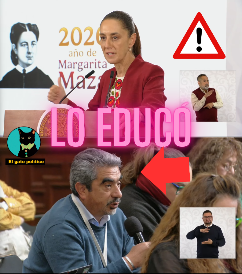 El gato político tweet media