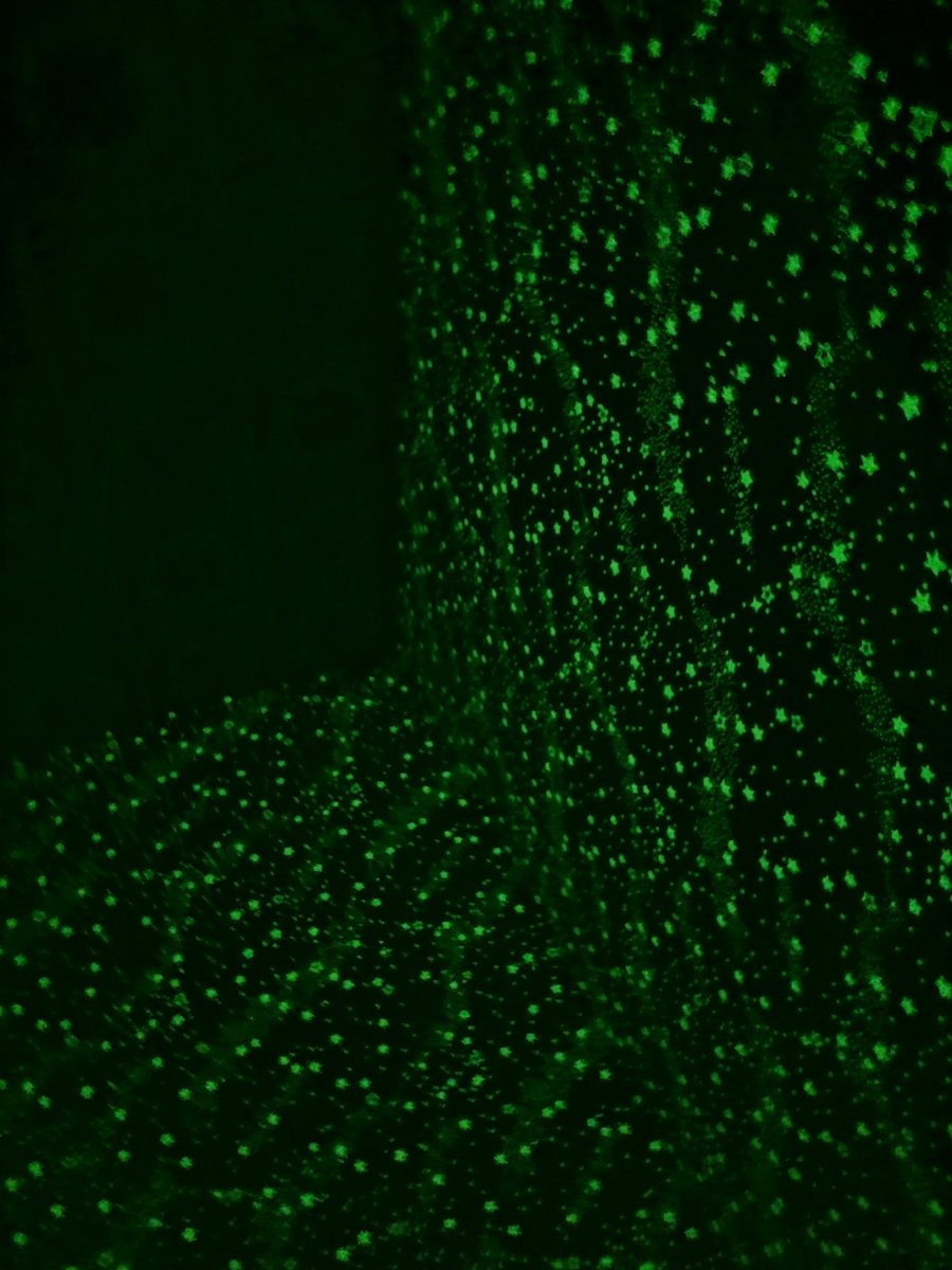 ちゃんなぎっ tweet media